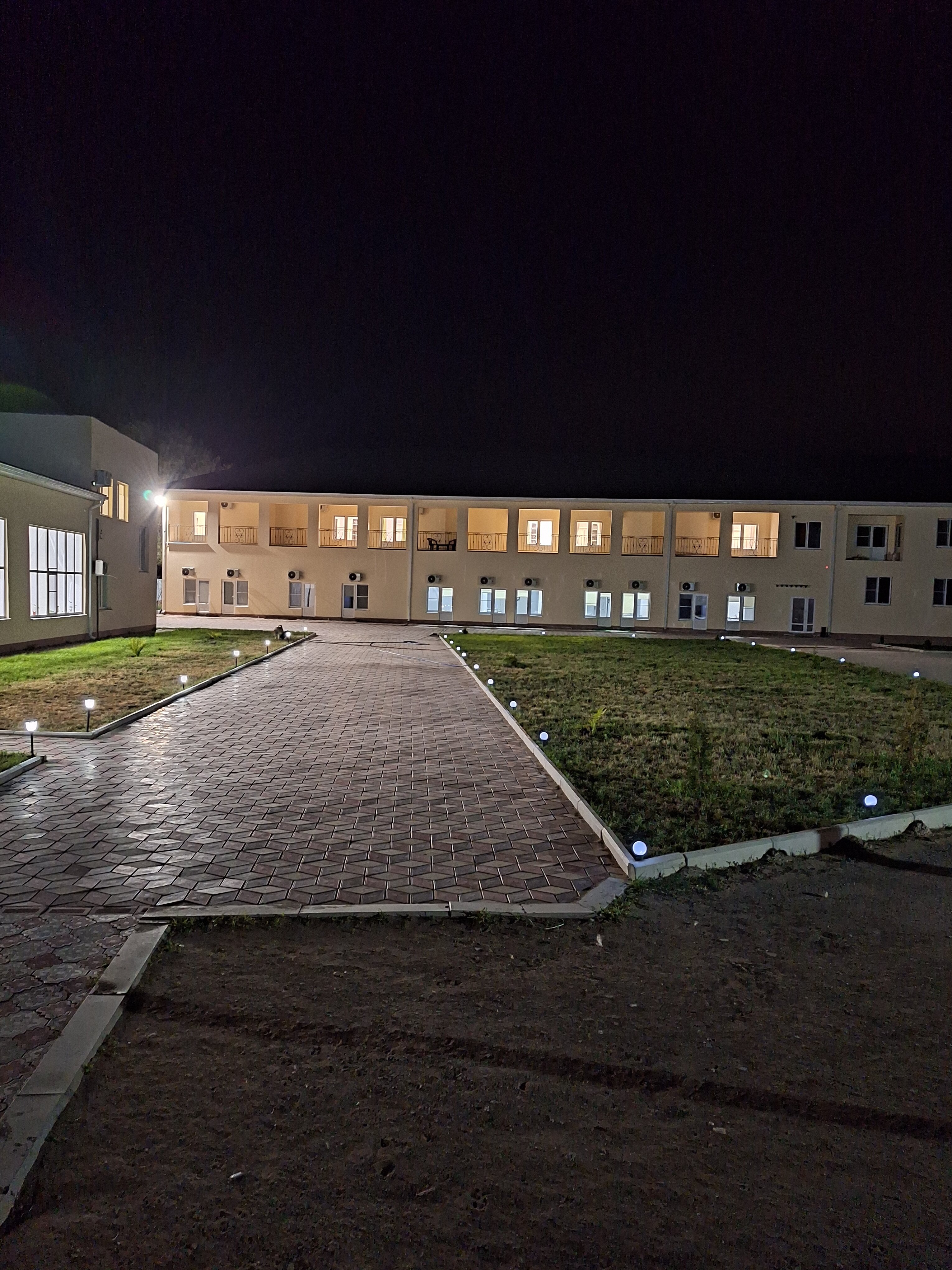 Фото Белый лев