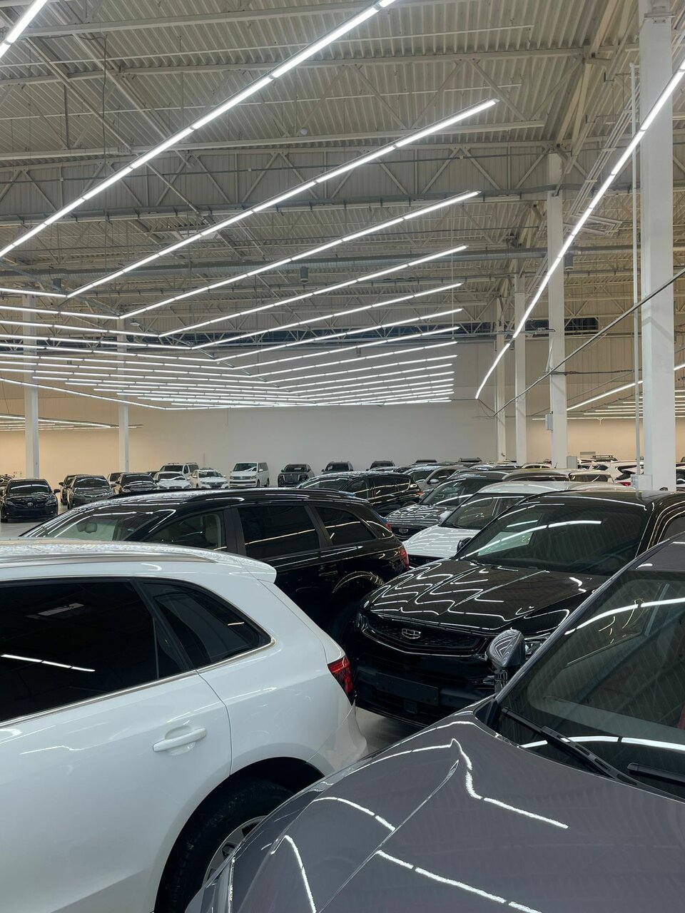 photo Авто Арена