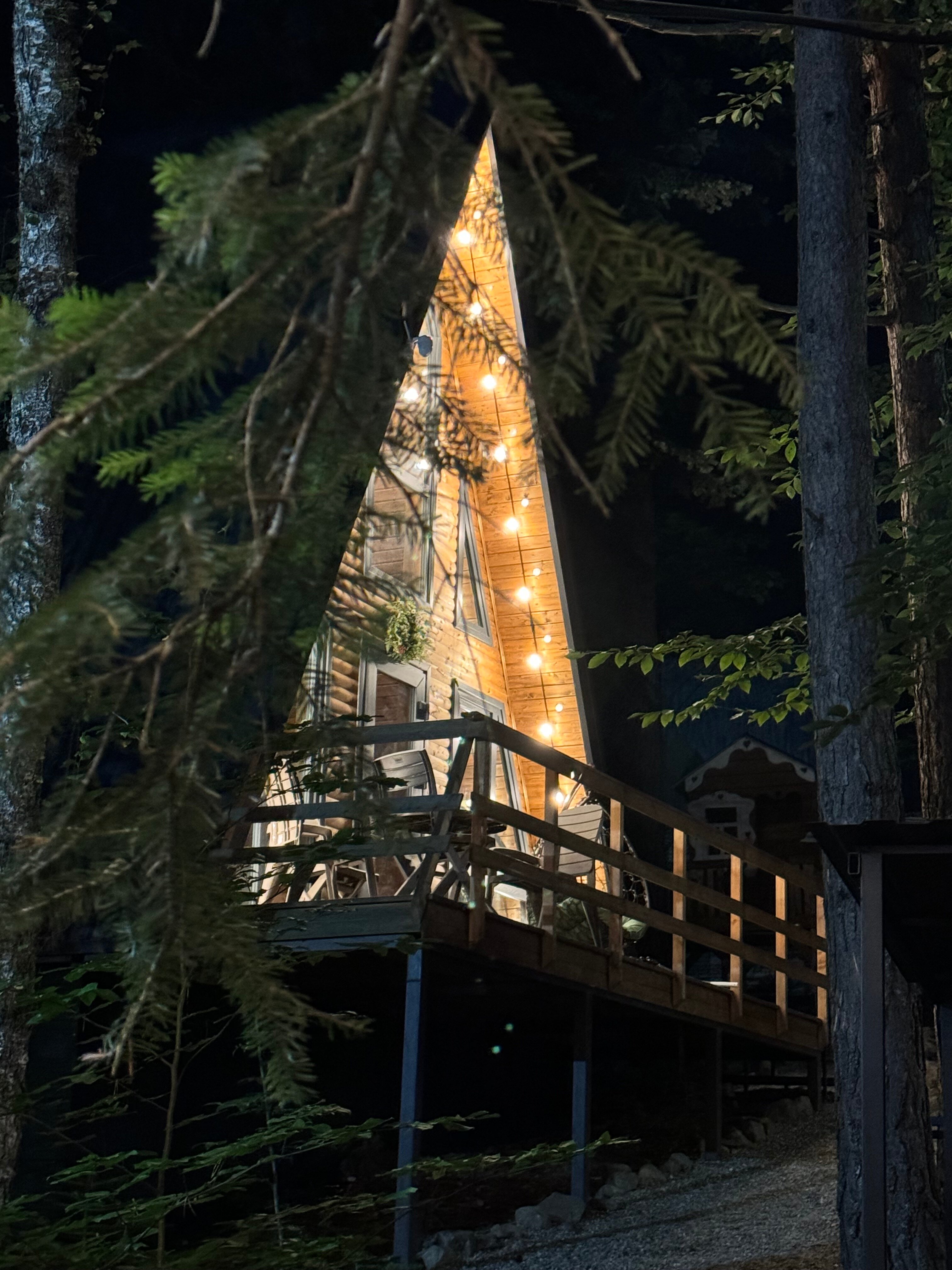 Фото Отель Пушкин