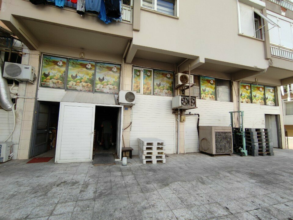 Egg and poultry meat Elmali Yumurta, Antalya, photo