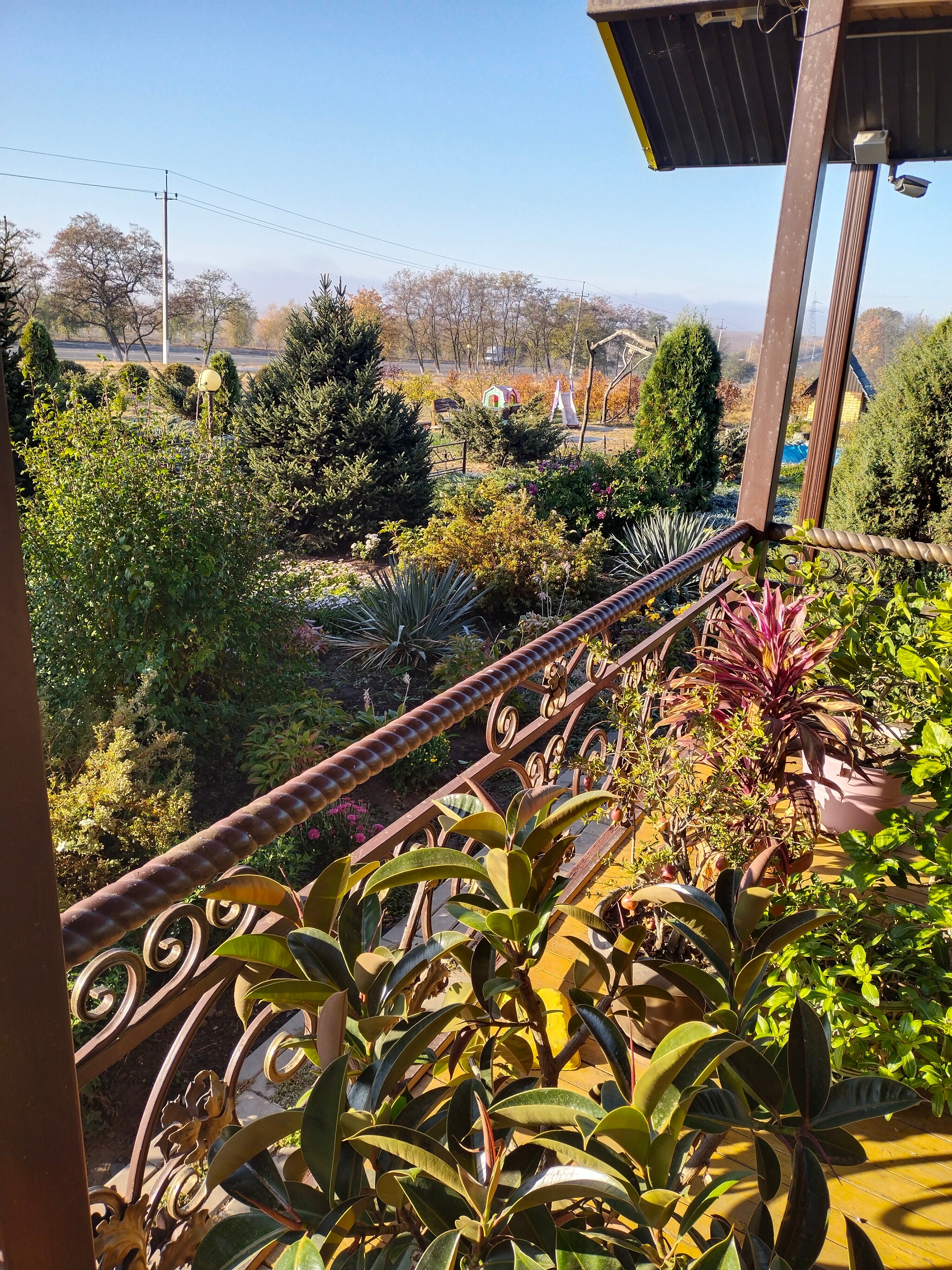 Фото Сириус