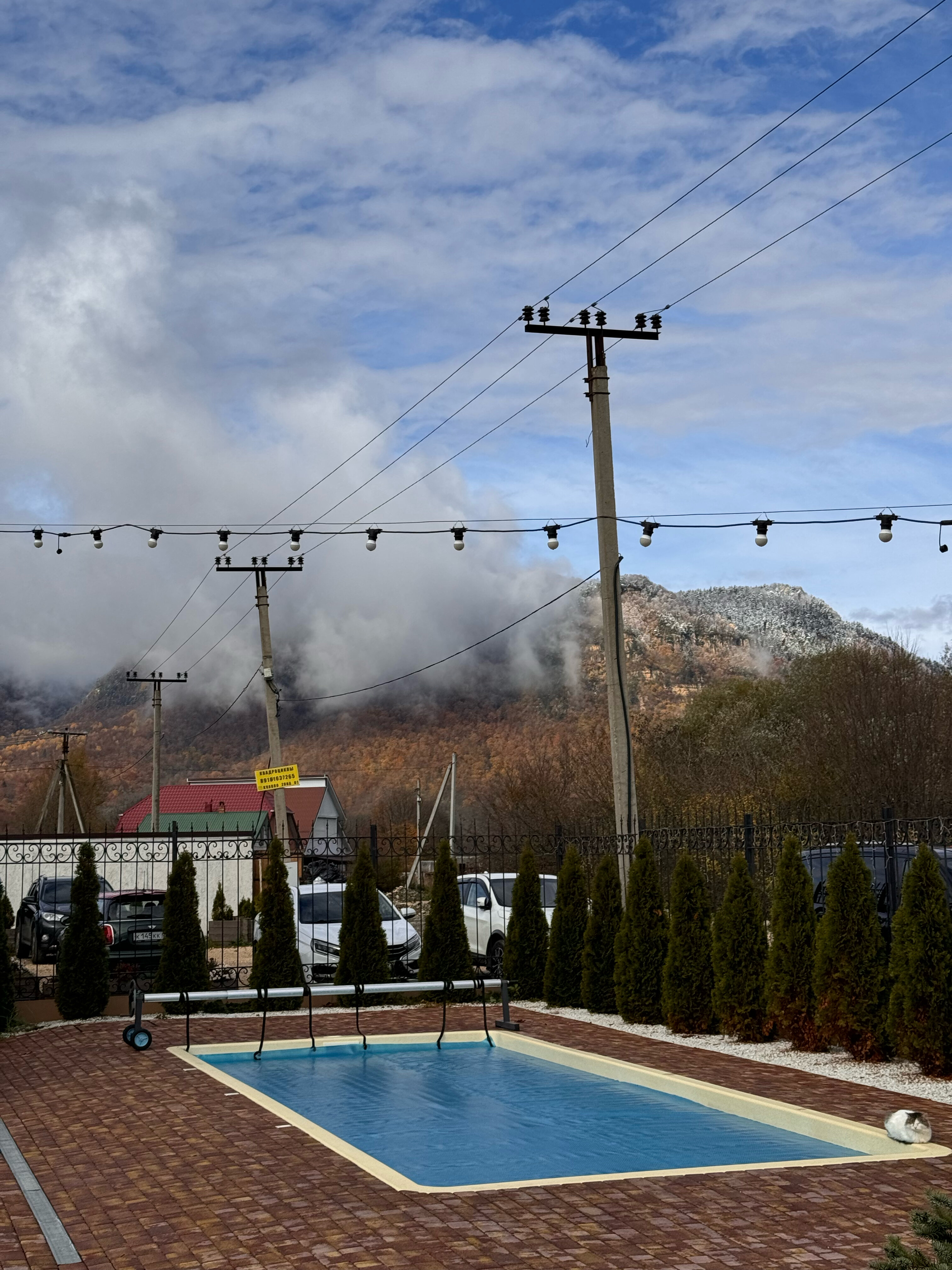 Фото АльтаРио