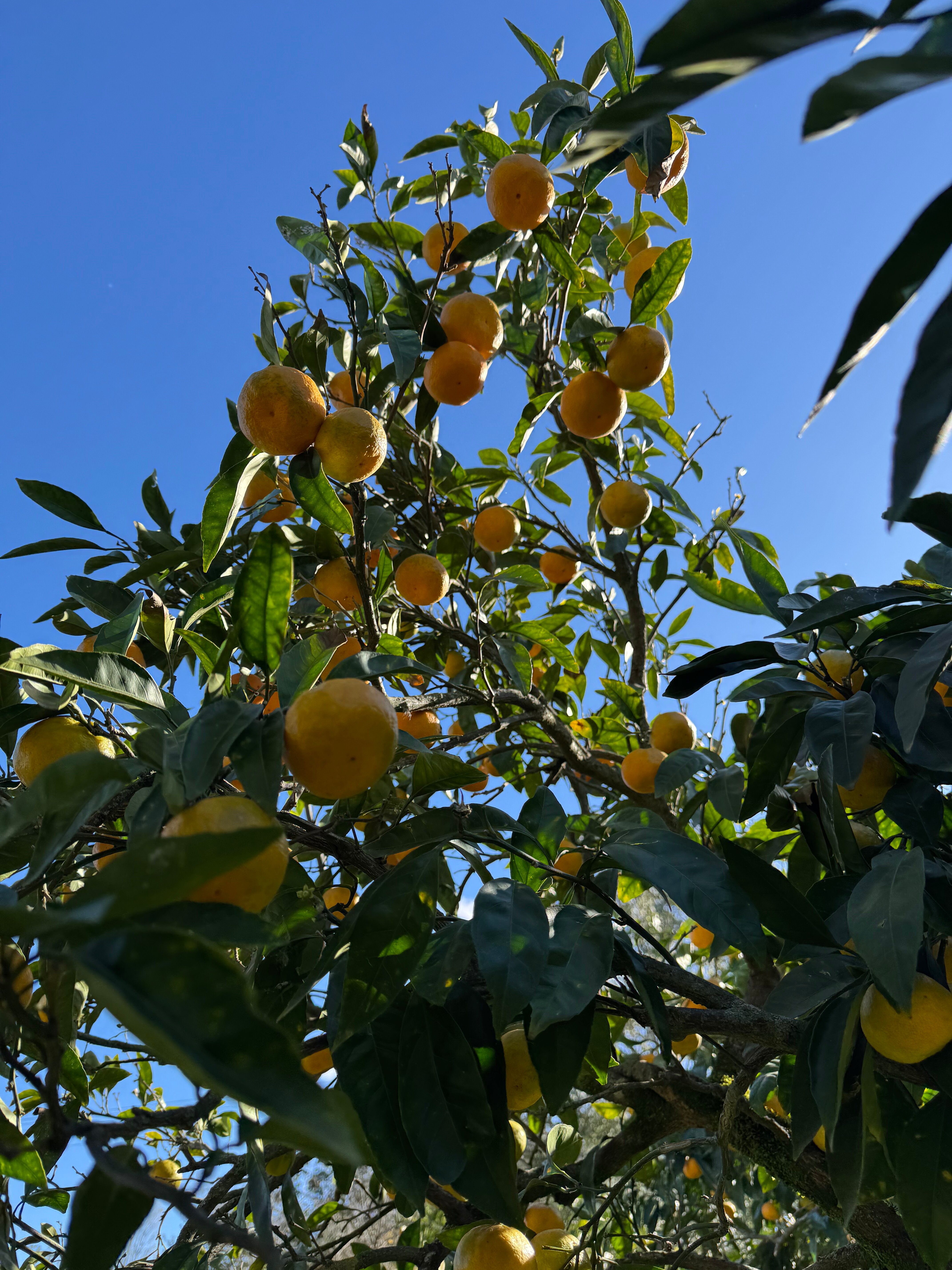 Фото Aqua resort Dacha