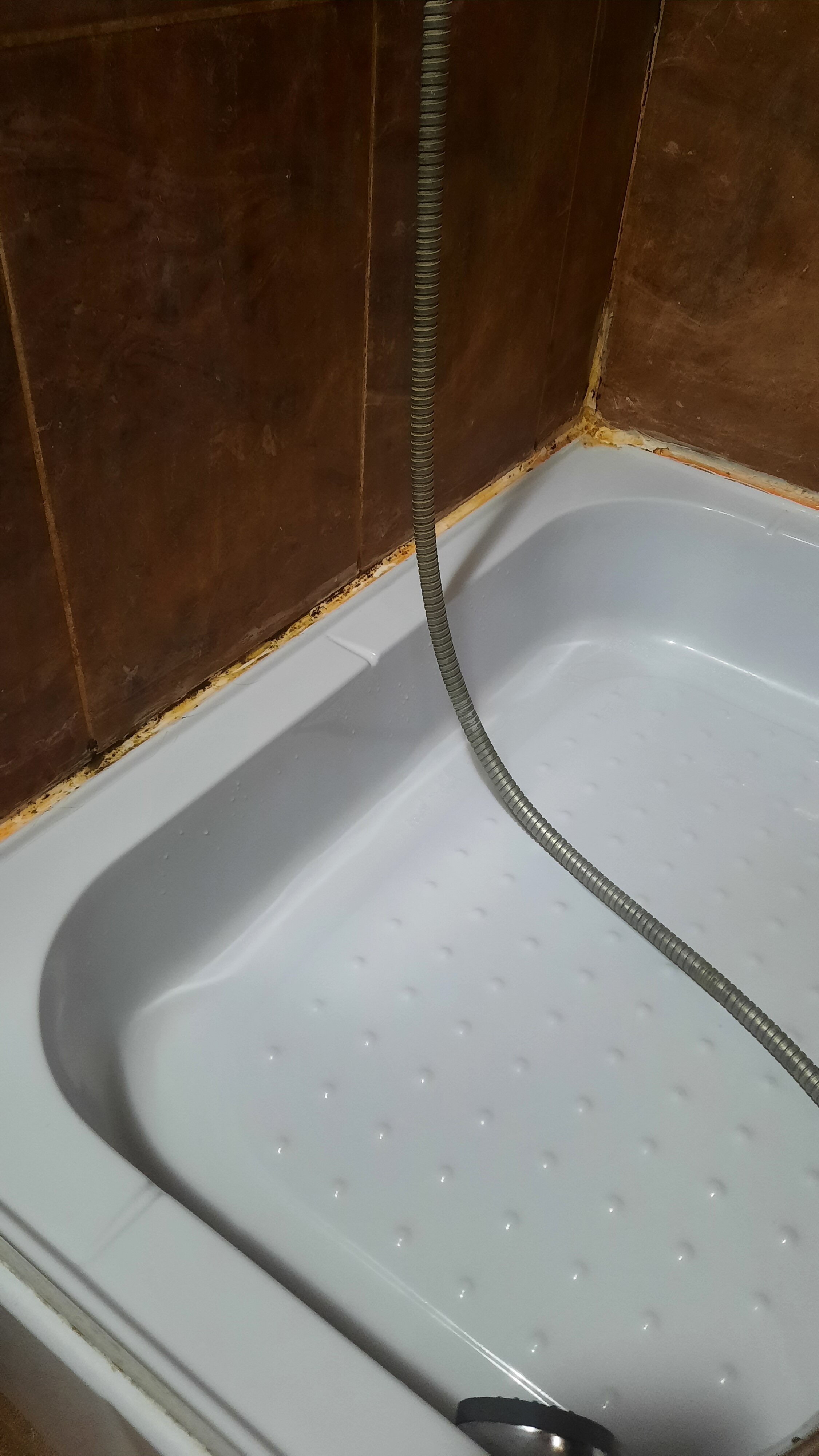 Фото Дубрава