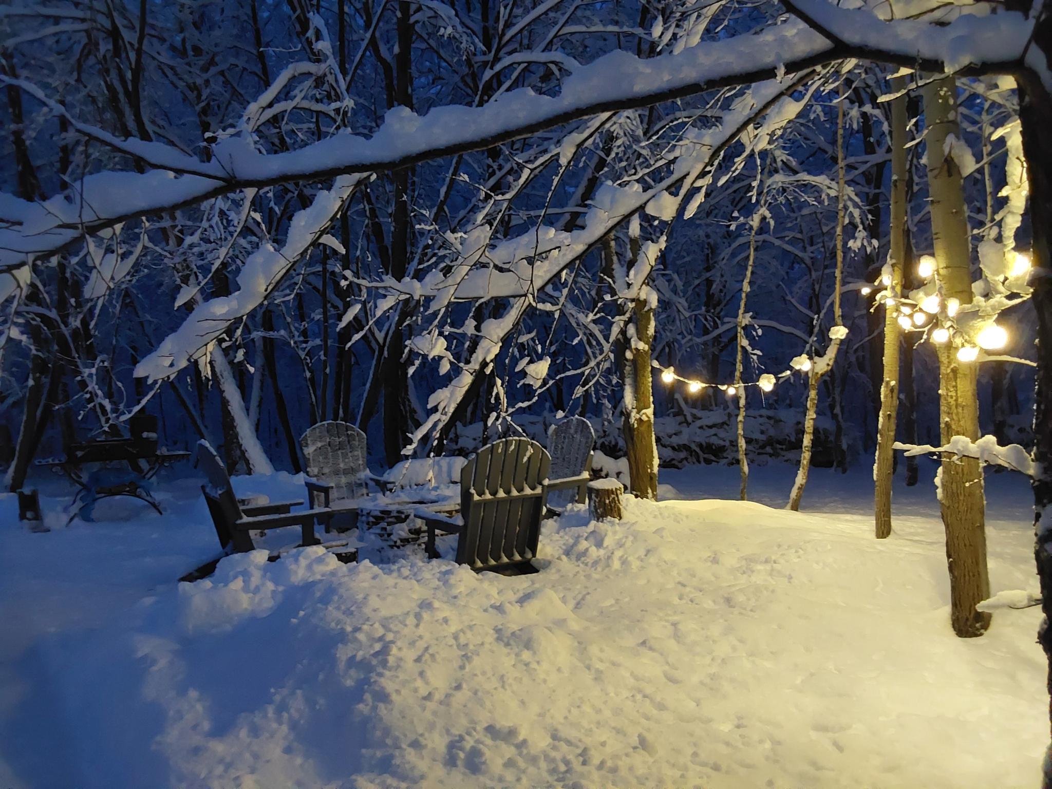 Фото Загорские дубки