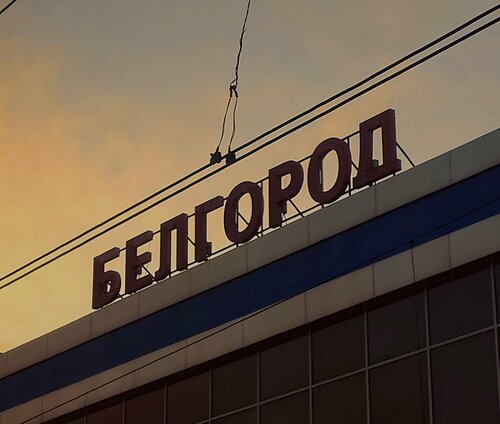 Дәретханадағы түкті есек