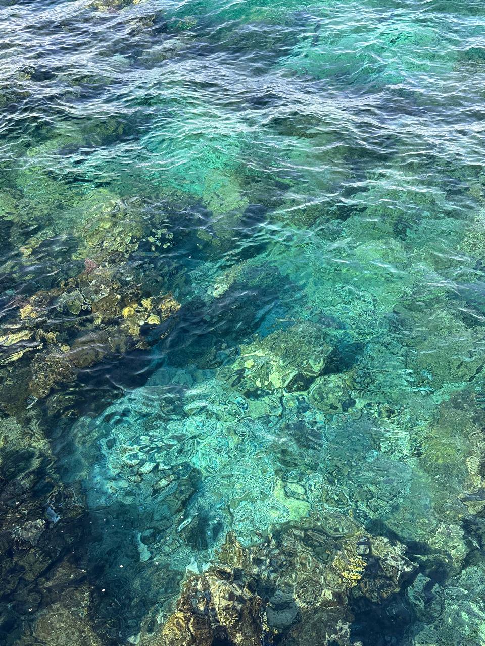 Фото Barceló Tiran Sharm