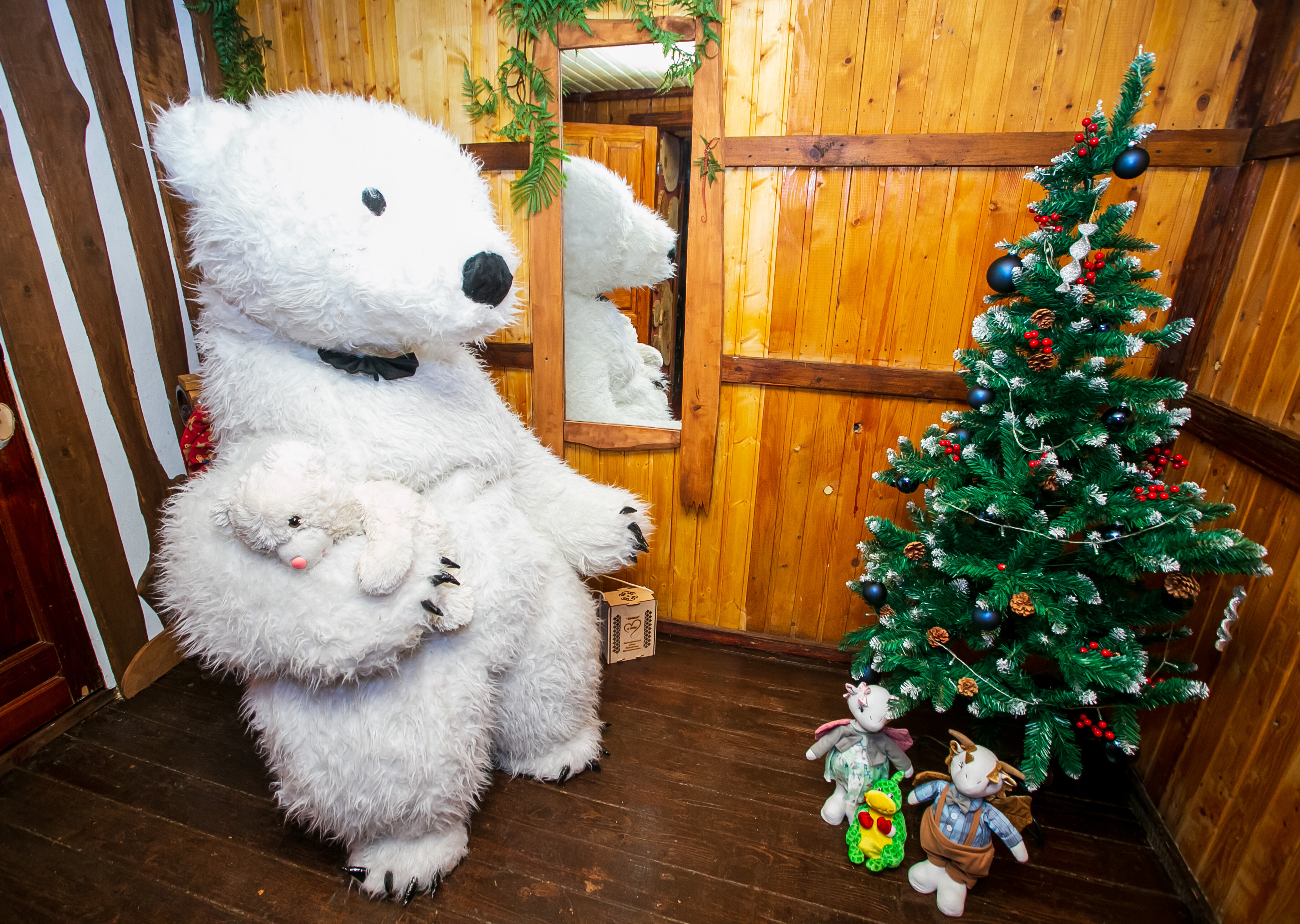 Фото Ямашла