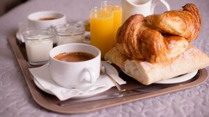 Гостиница Hotel Napoleon