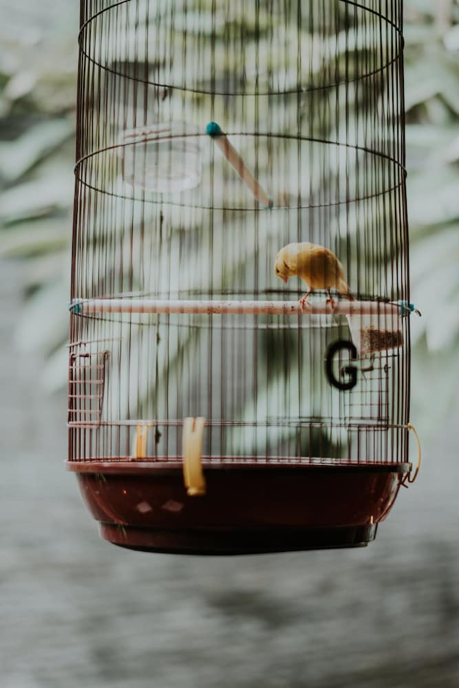 Фото House of Moedjito