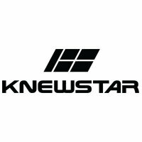 logo Knewstar Автодин