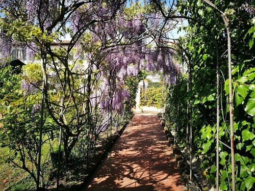 Гостиница Locanda Le Boscarecce