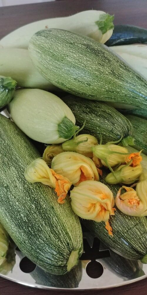 Фото La Piana degli Ulivi