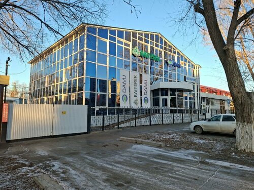 Discovery арнасының секс туралы шоуларын қараңыз