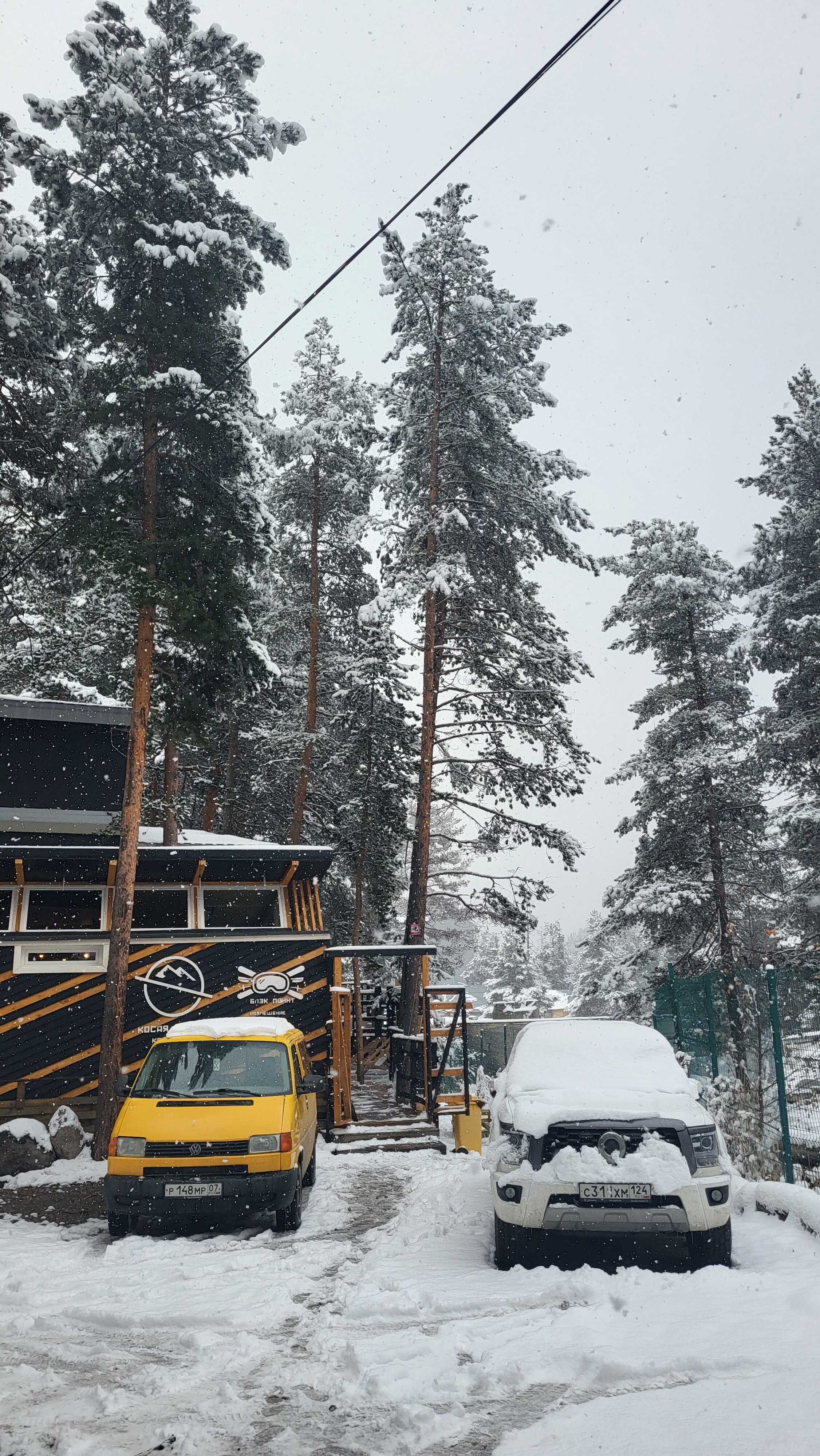 Фото Блэк Поинт