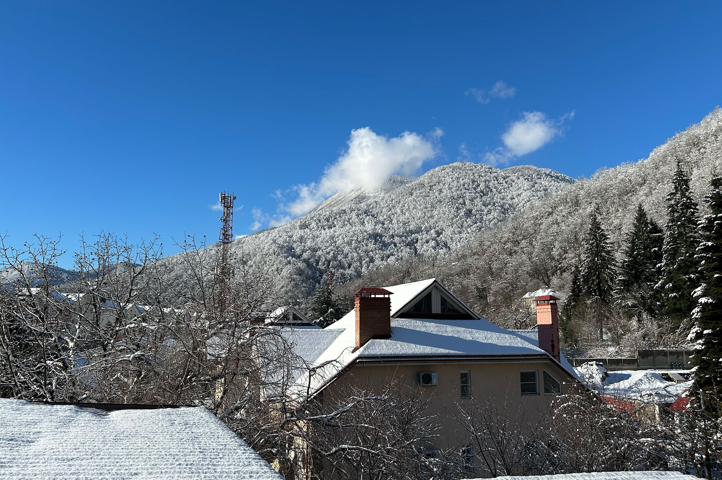 Фото Айсберг Редэнс