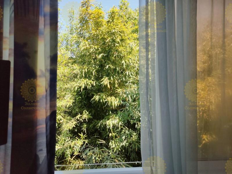 Фото Солнечный