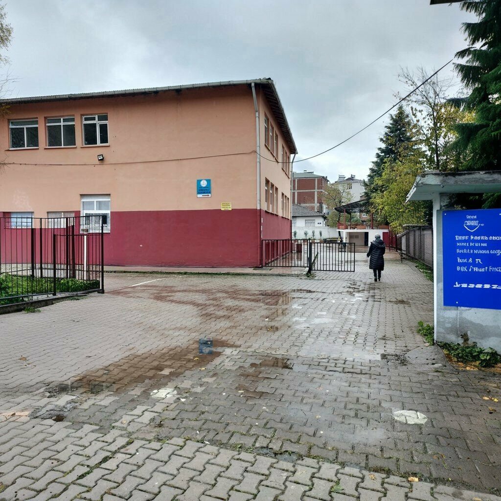 Primary school Gokceli Primary School, Salipazari, photo