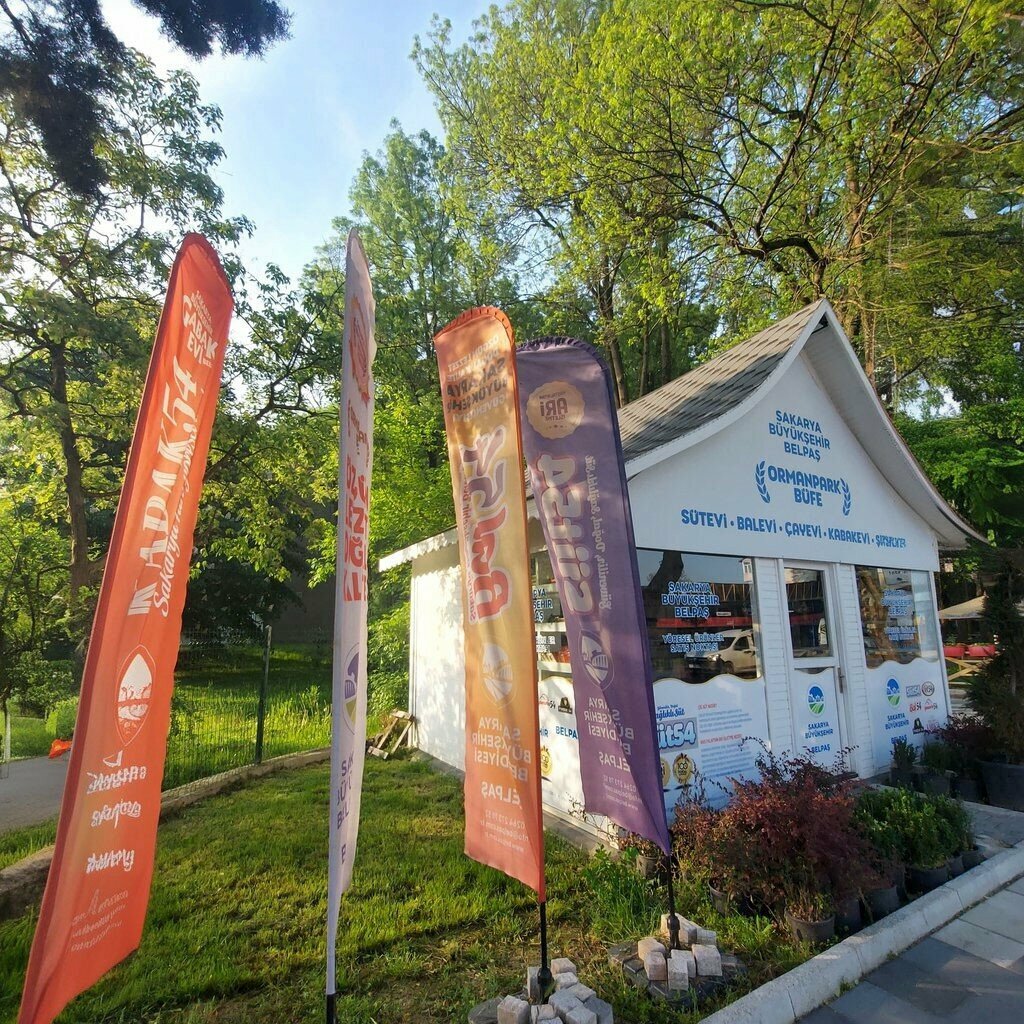 Construction and maintenance of engineering networks Belpas, Adapazari, photo