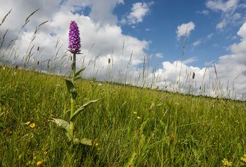 Фото Penzion Andula