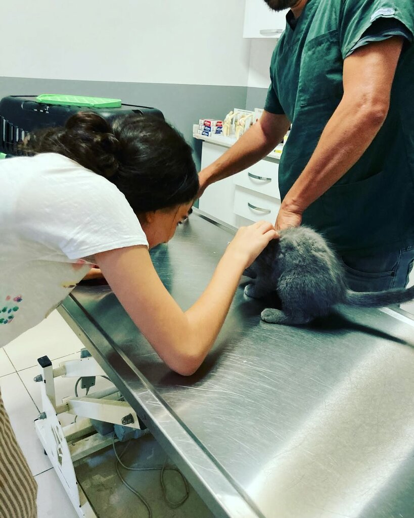 Private practice doctors Dr. Guler Sahin, Ankara, photo