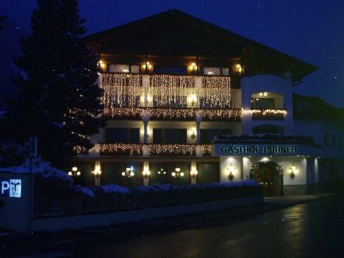 Фото Hotel Purner