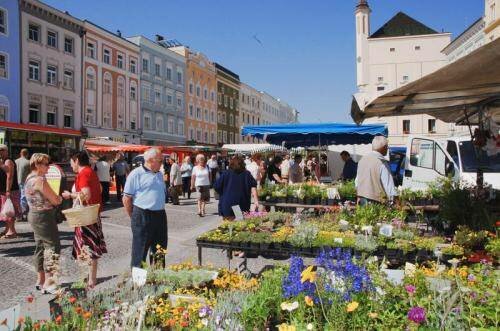 Гостиница H+ Hotel Ried