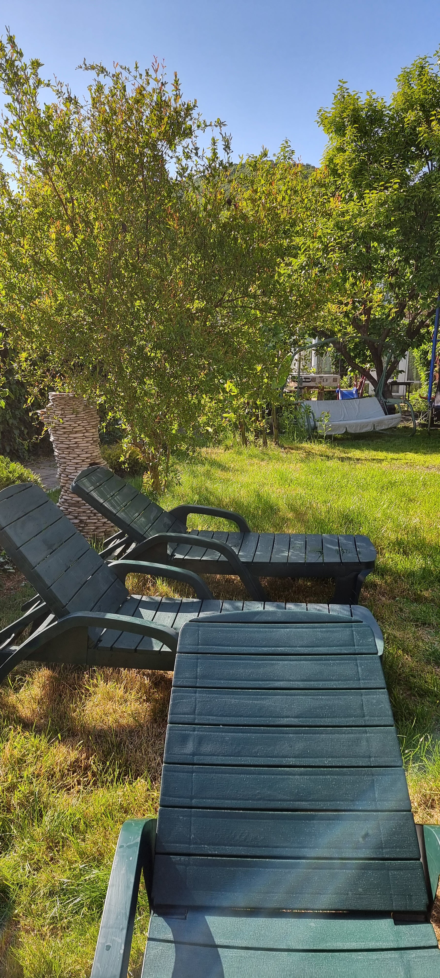 Фото Фантазия