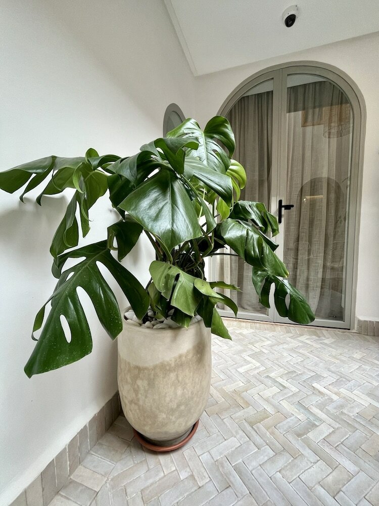 Фото Riad Dar Bayane