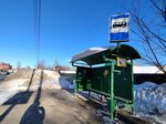 По требованию (Moscow Region, 46K-9694), public transport stop