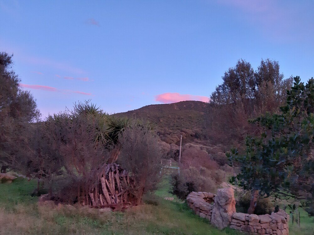 Фото Agriturismo Agrisole