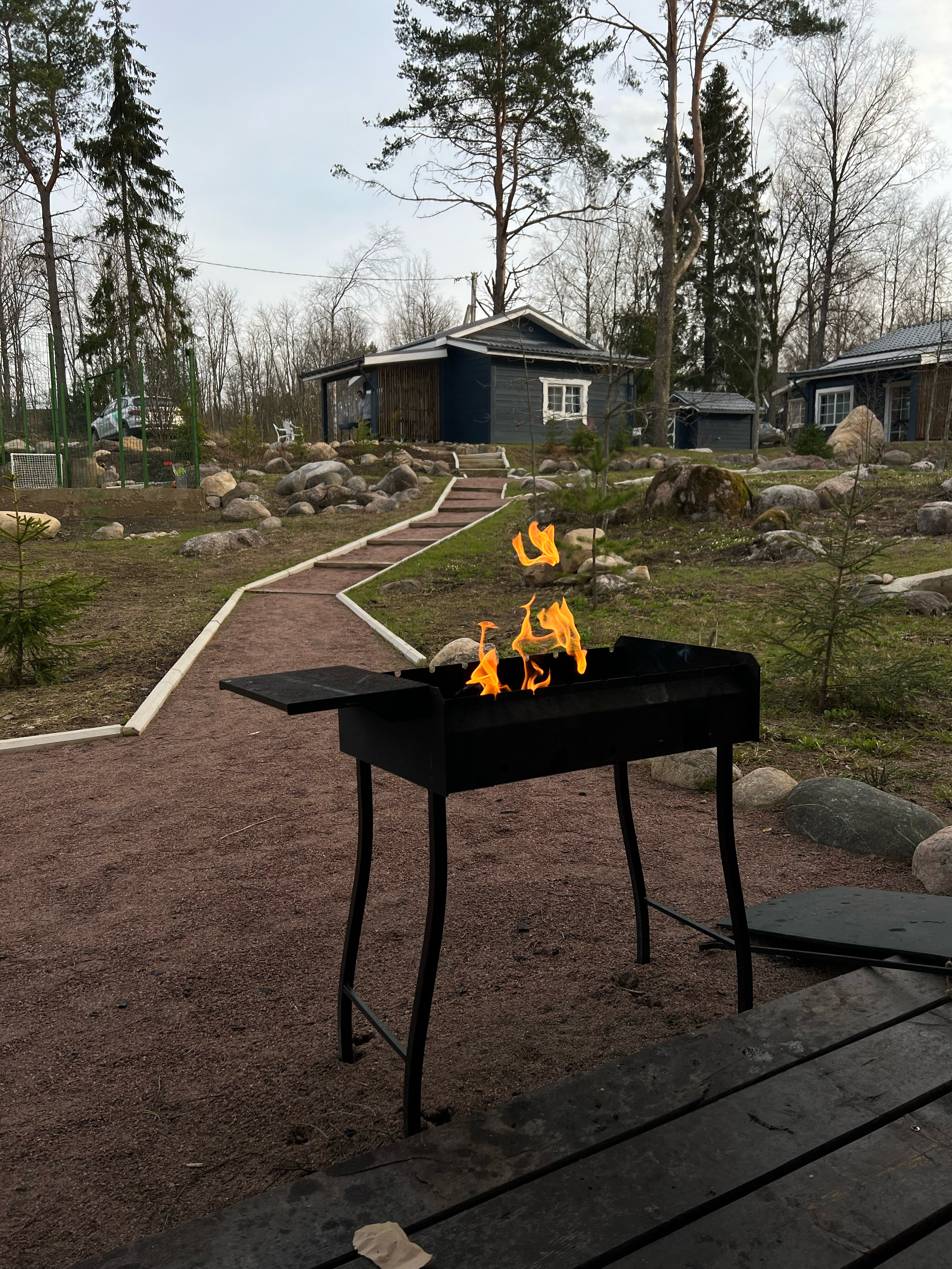 Фото Талони