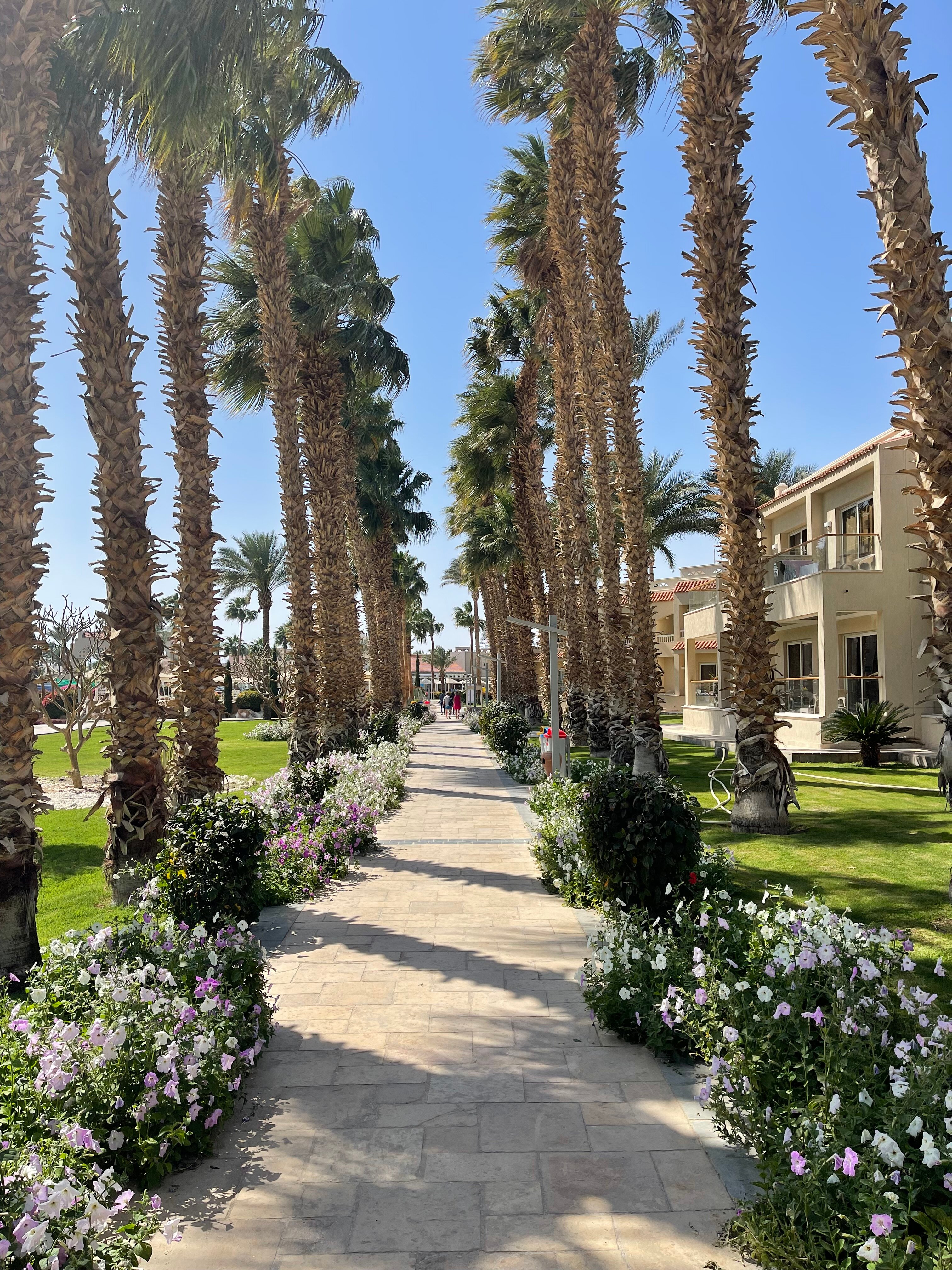 Фото Бич Альбатрос Резорт