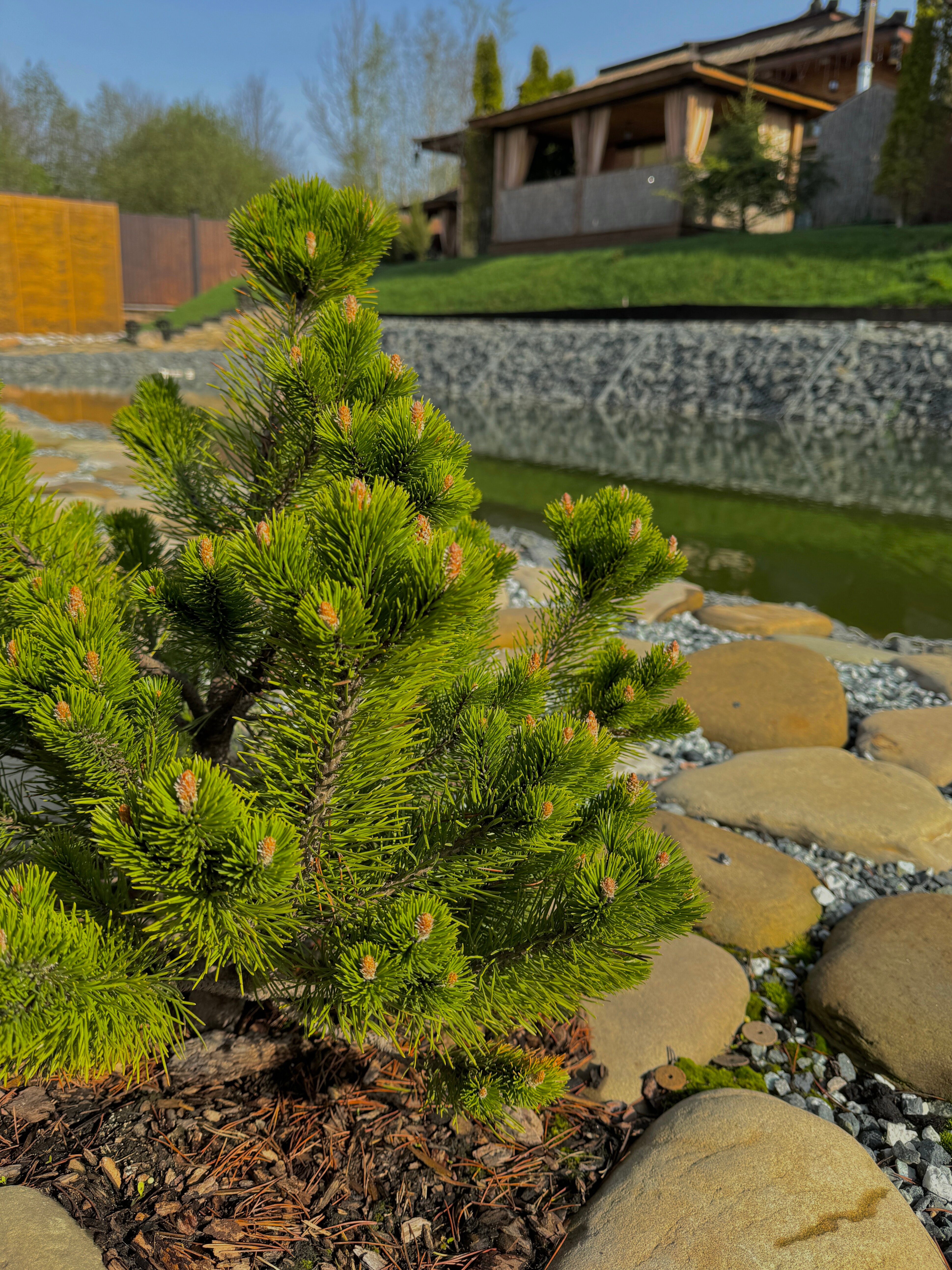 Фото Санрайз Вилладж