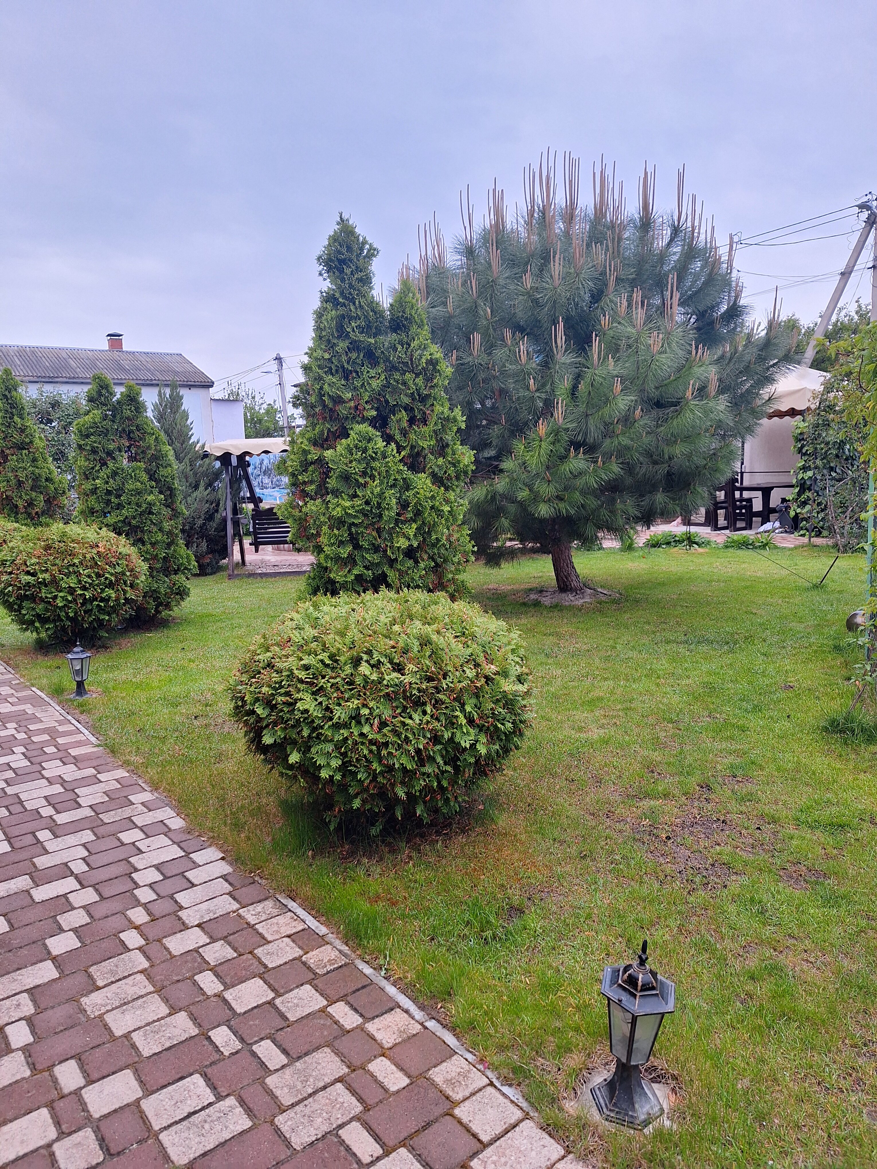 Фото Солнечная Ривьера