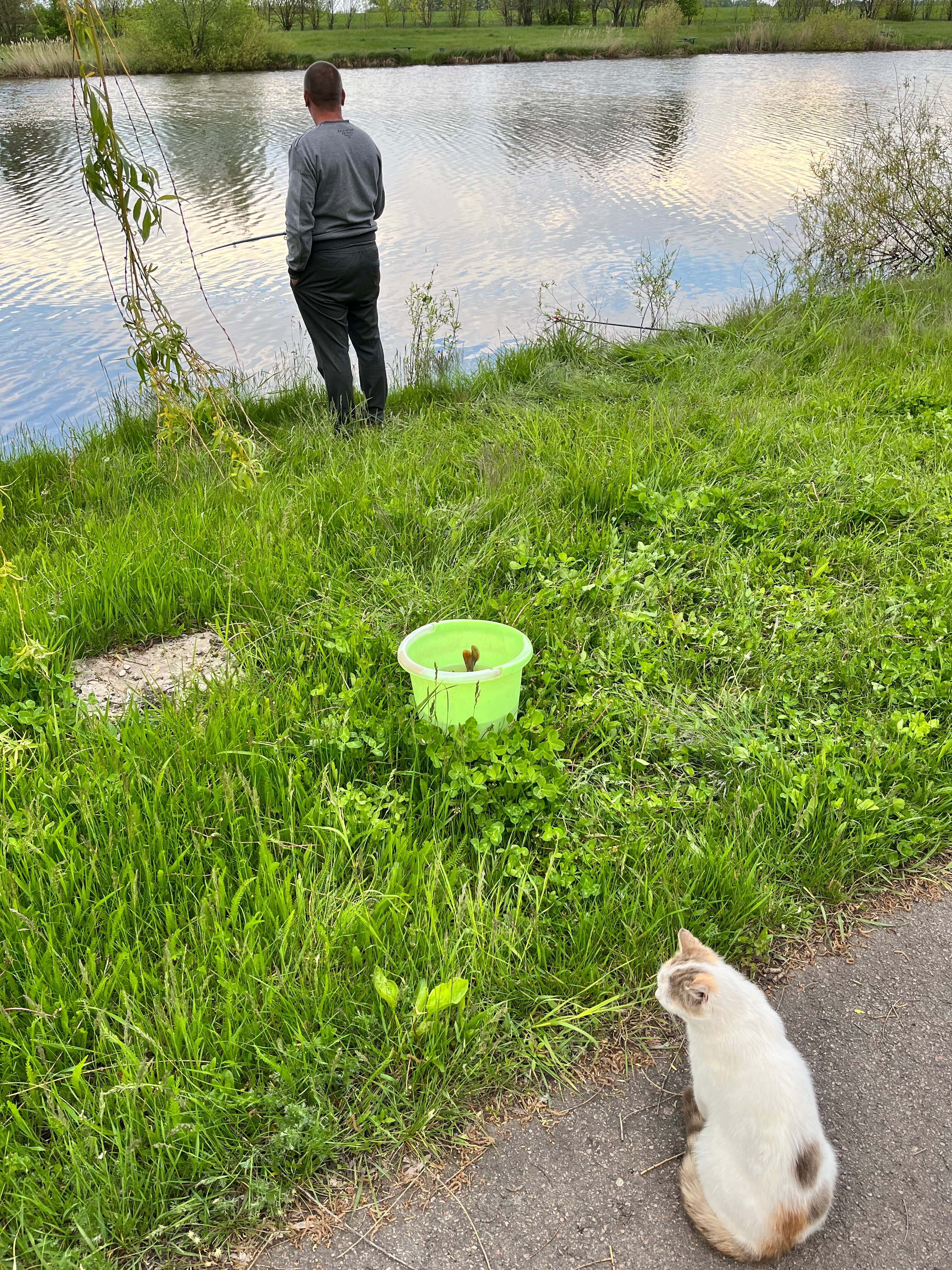 Фото Zолотой саZан