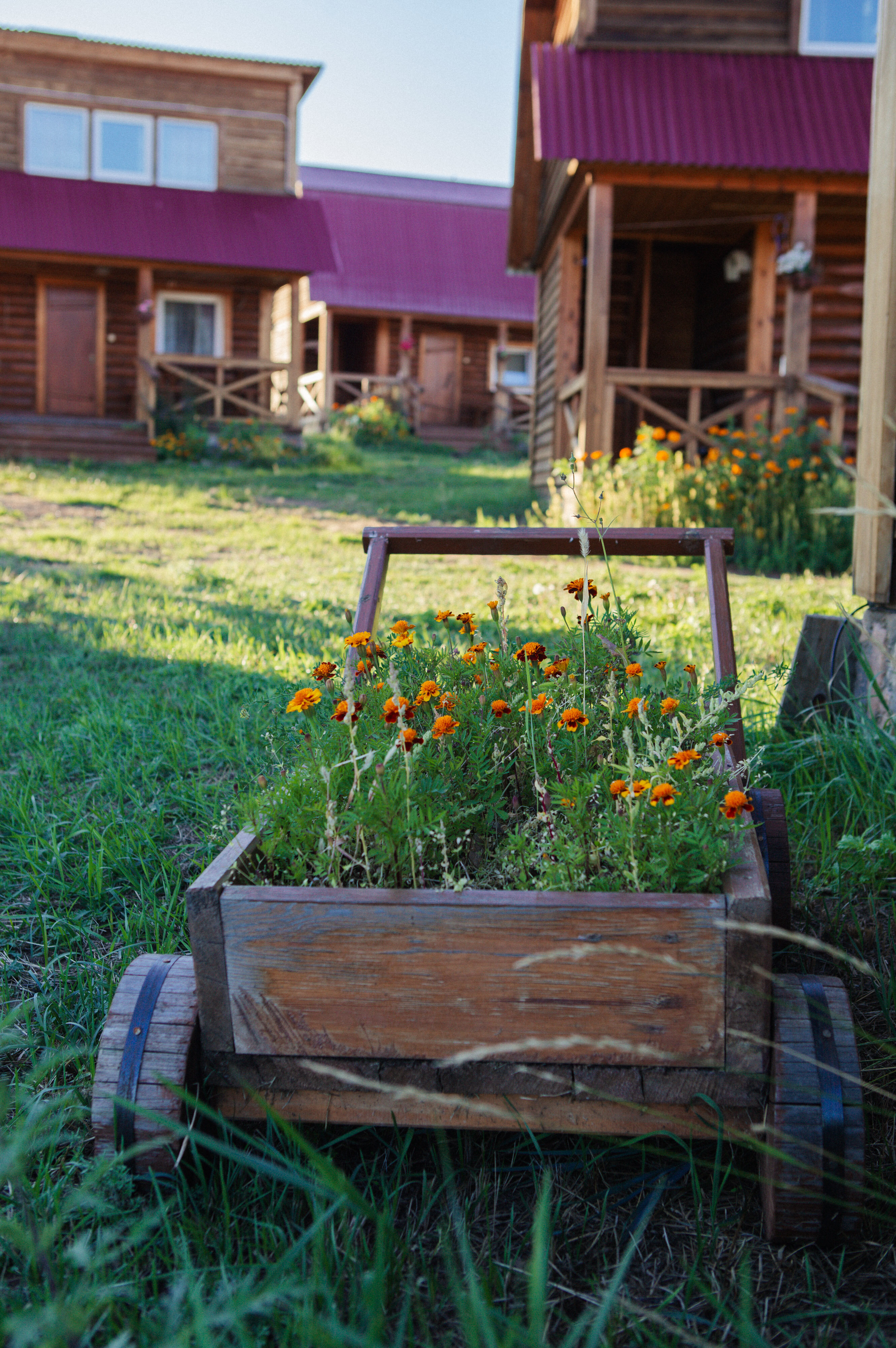 Фото Усадьба Дорофеева