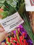 Амариллис (4-й Краснофлотский пер., 5, Смоленск), искусственные растения и цветы в Смоленске