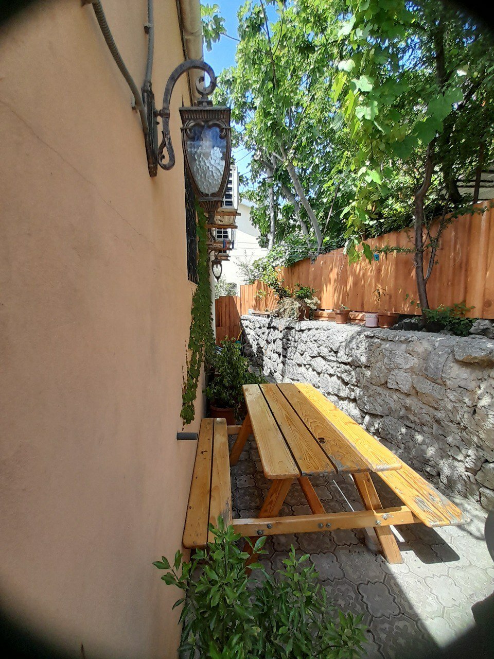 Фото Алупка Роза