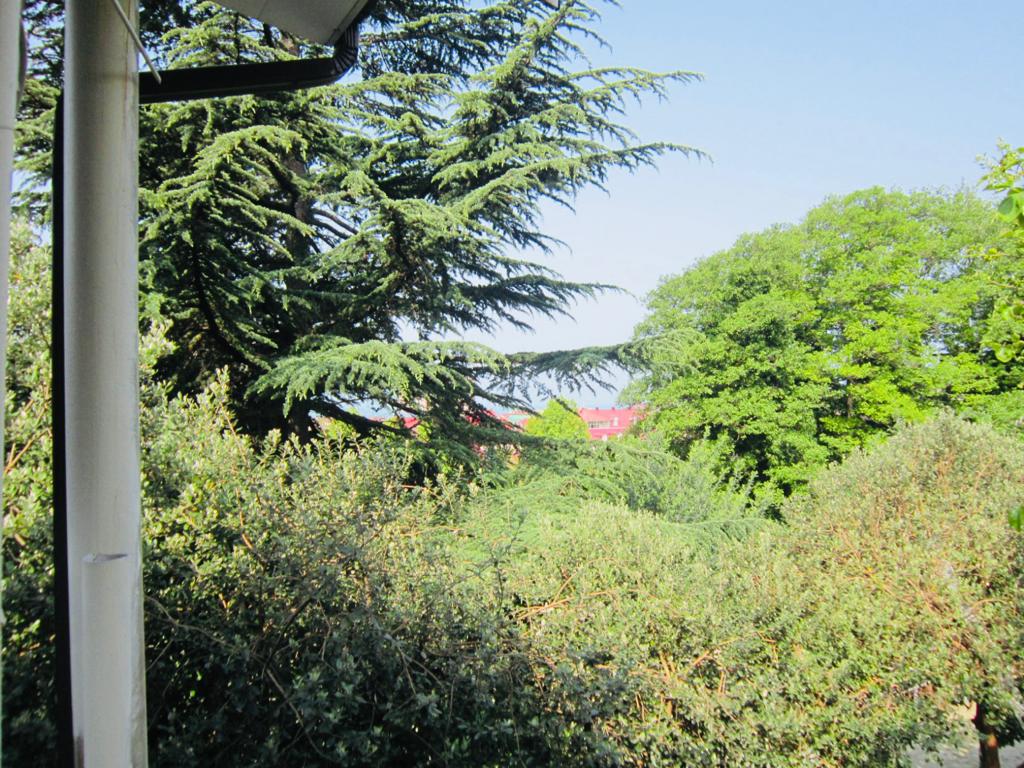 Фото Виолетта