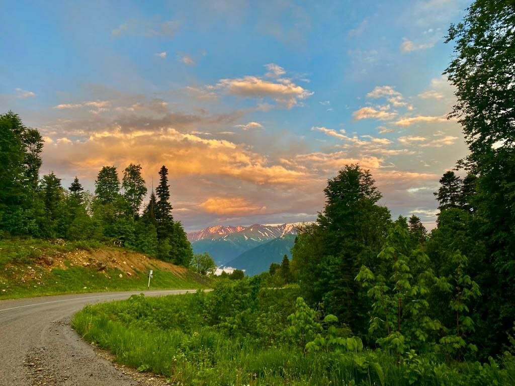 Фото Тихая полянка