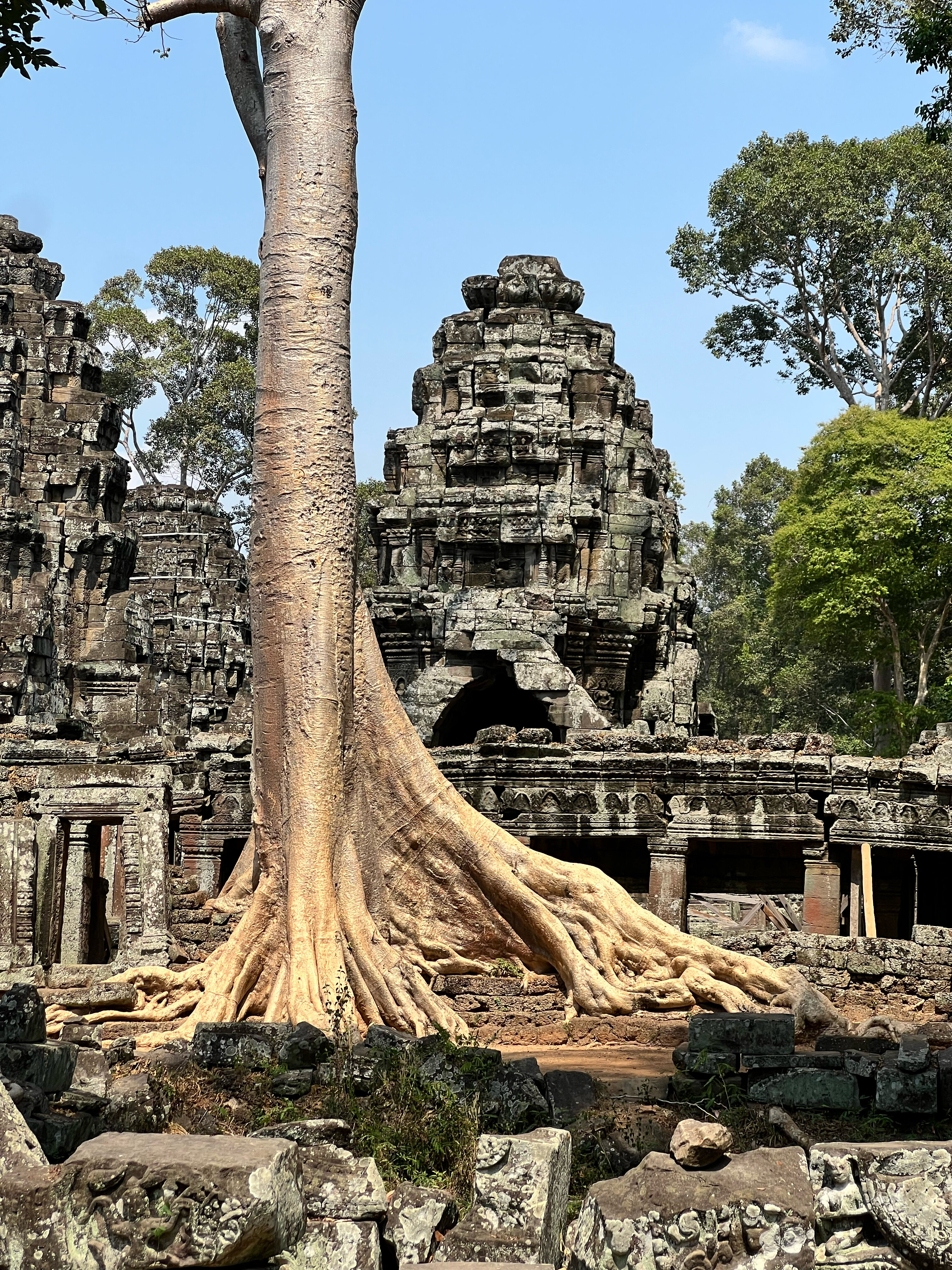 Фото Fcc Angkor by Avani