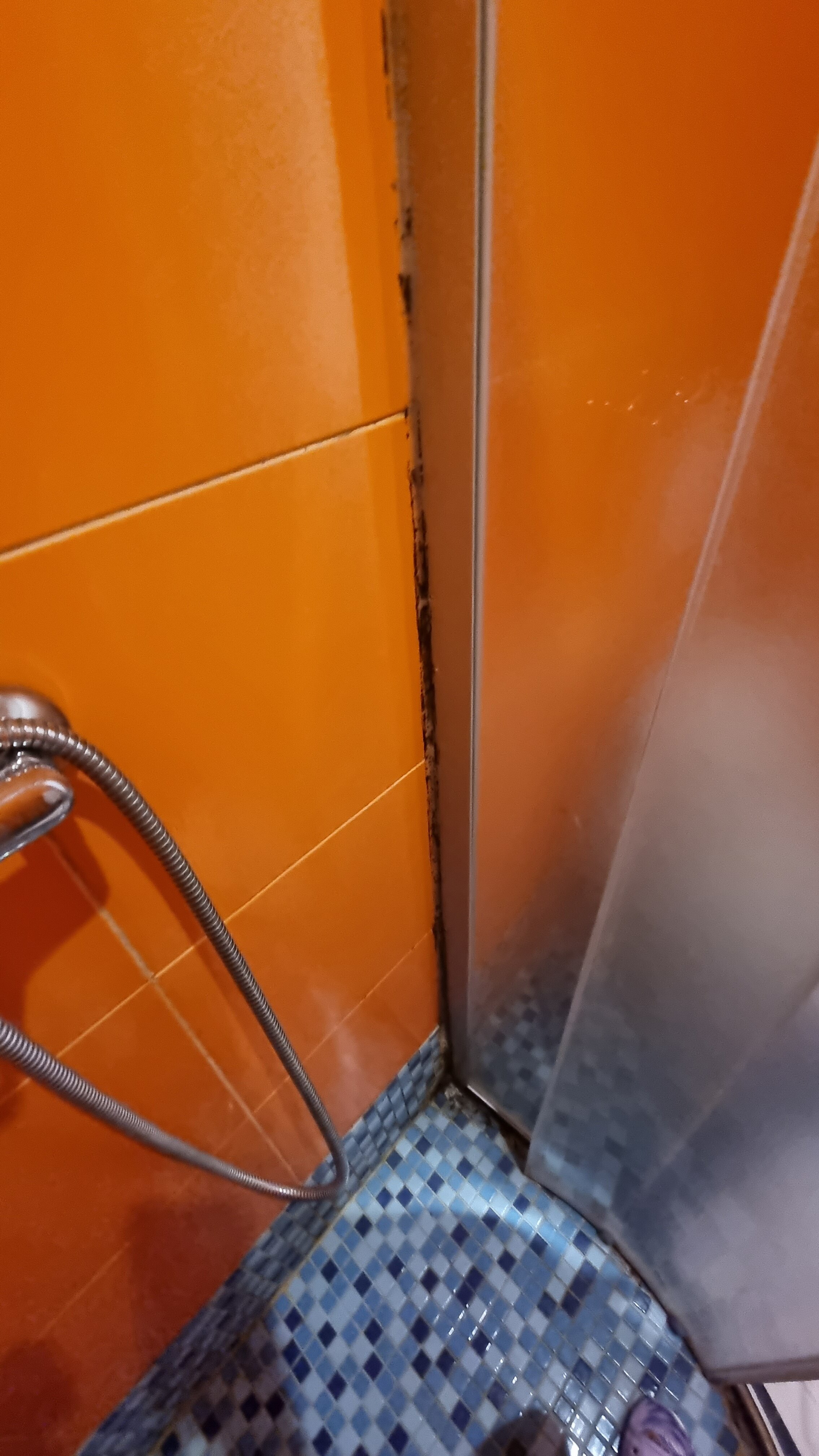 Фото Кастелло