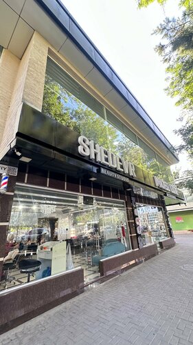 Veb-kamera bilan virtual jinsiy aloqa