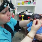 Анима (ulitsa Perelyota, 22к1), veterinary clinic