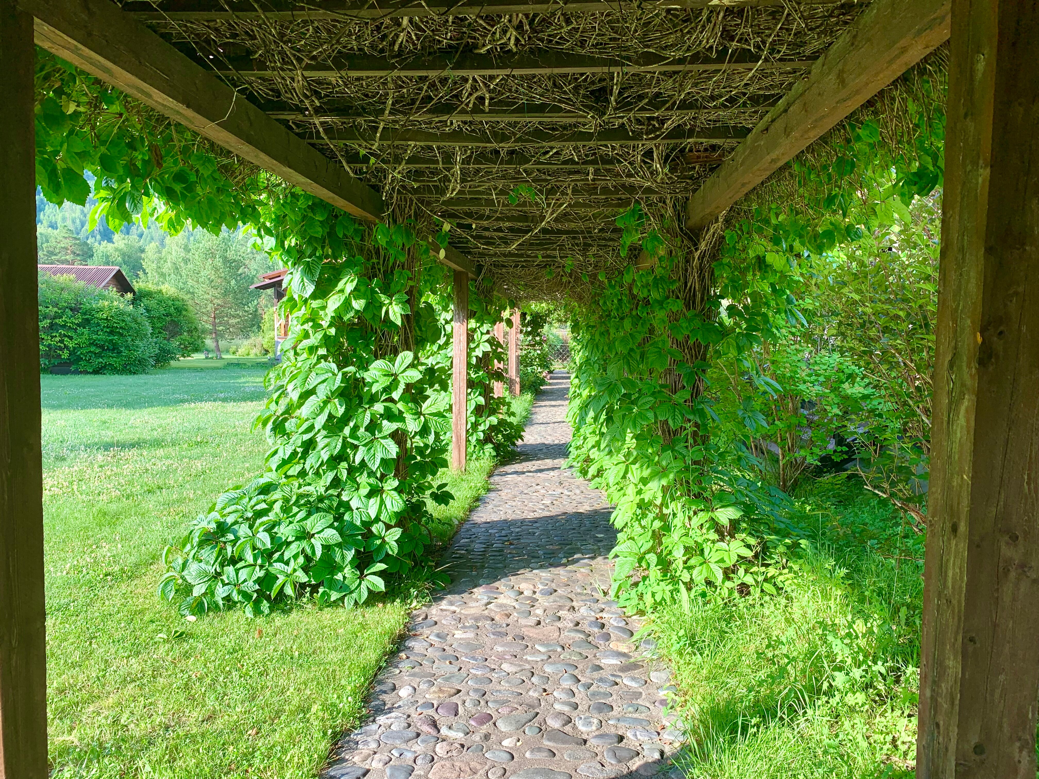 Фото Усадьба толстяка МО