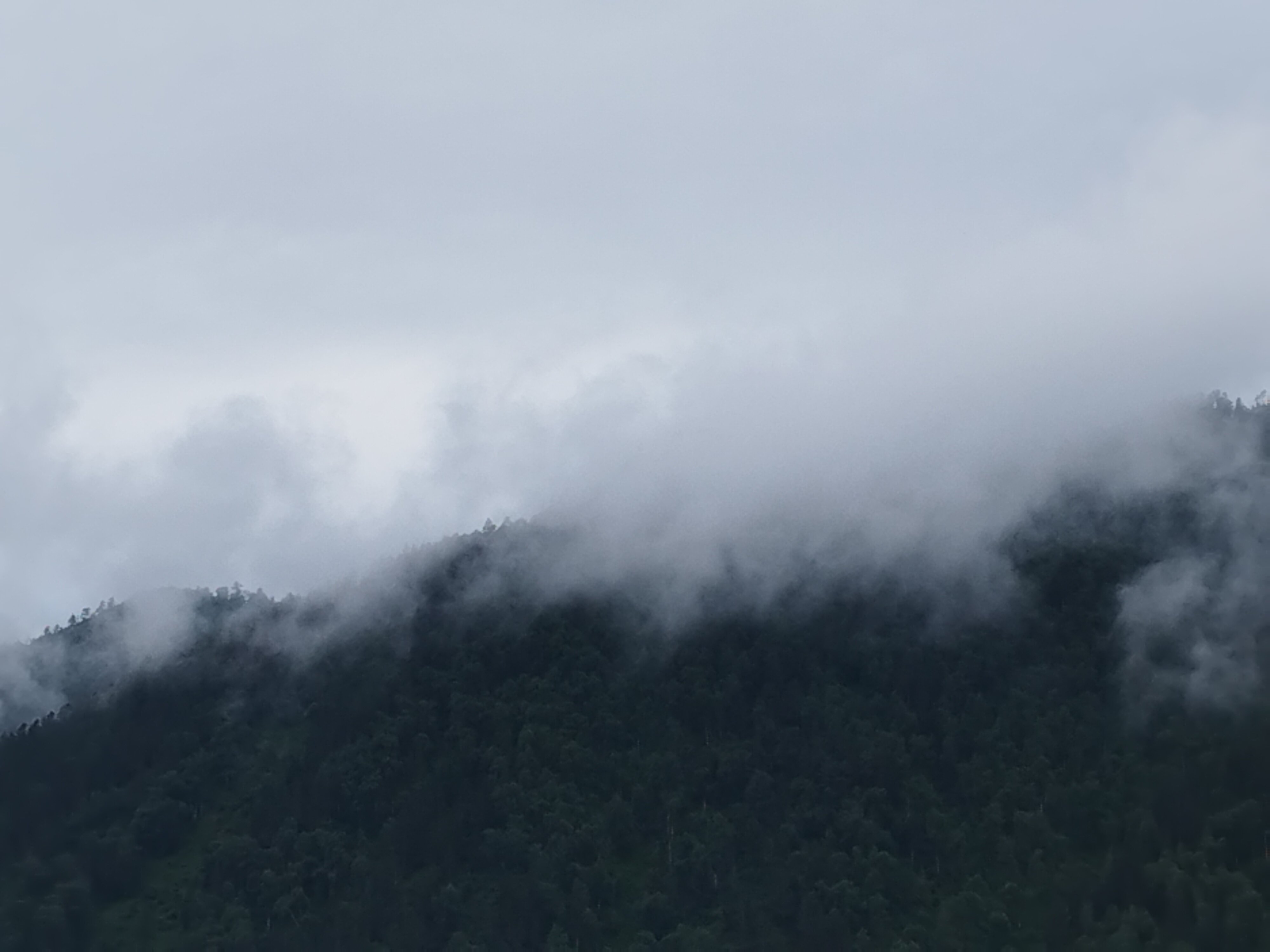 Фото Сункар