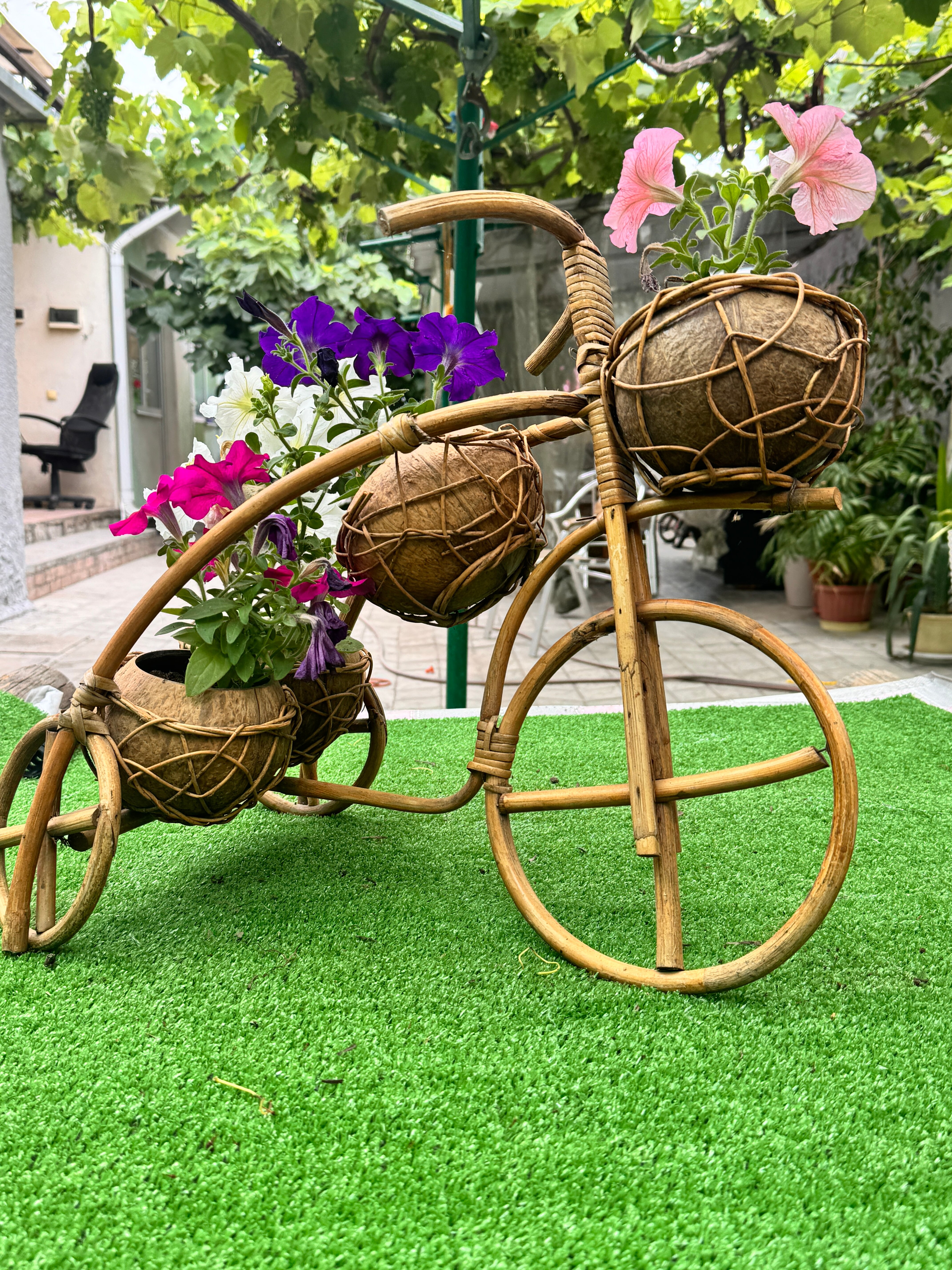 Фото Любой Каприз