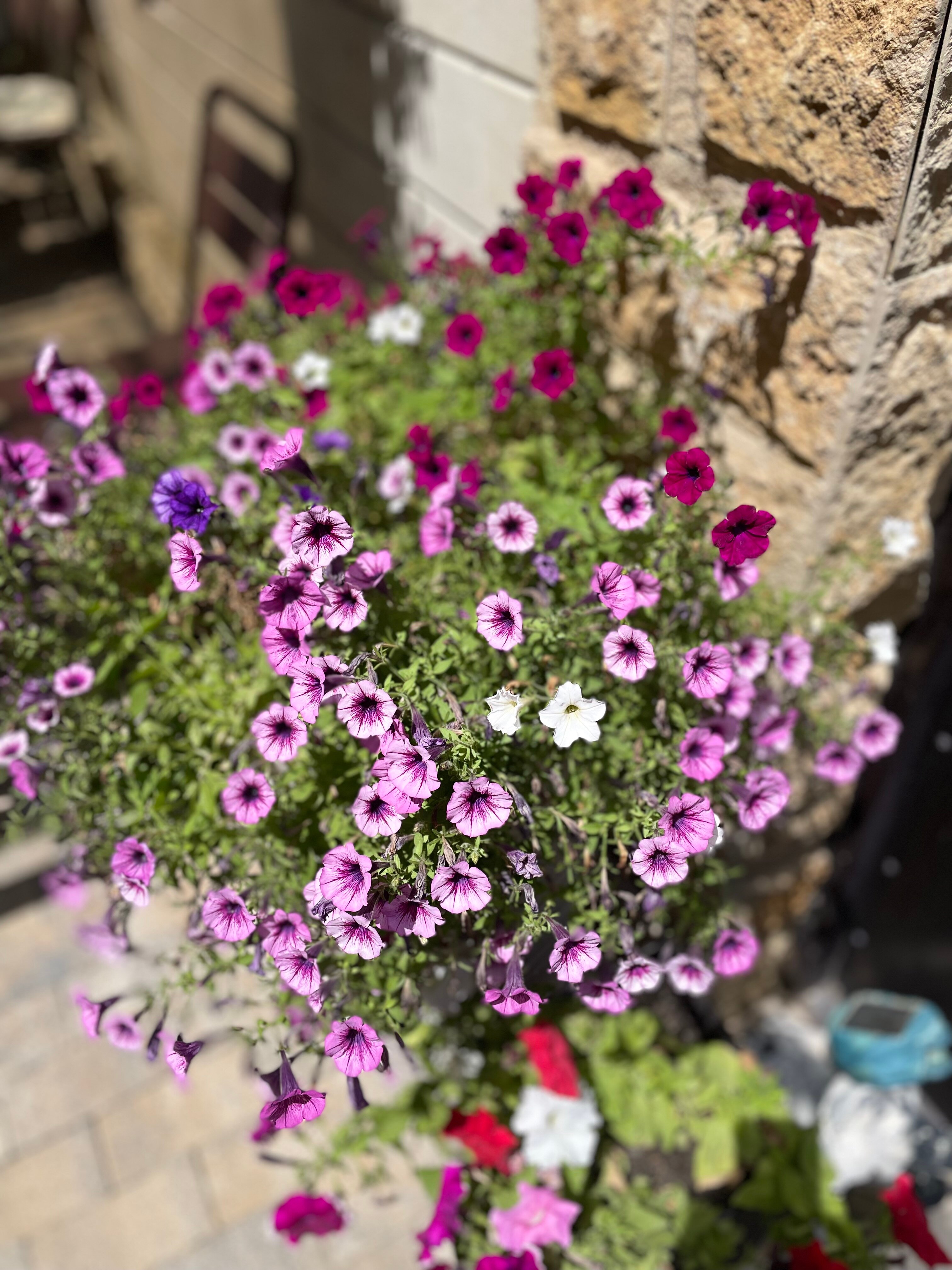 Фото Бастион