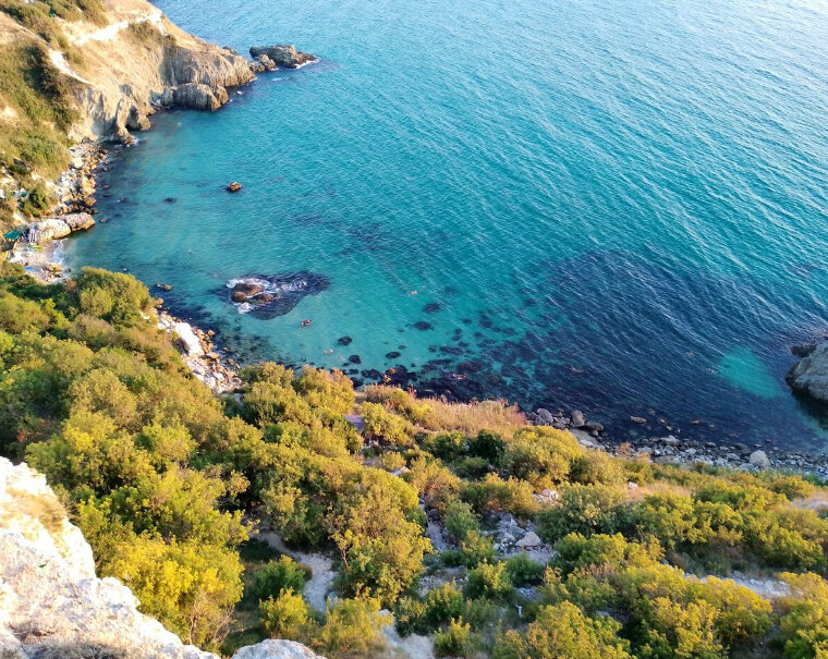 Фото Фиоленто